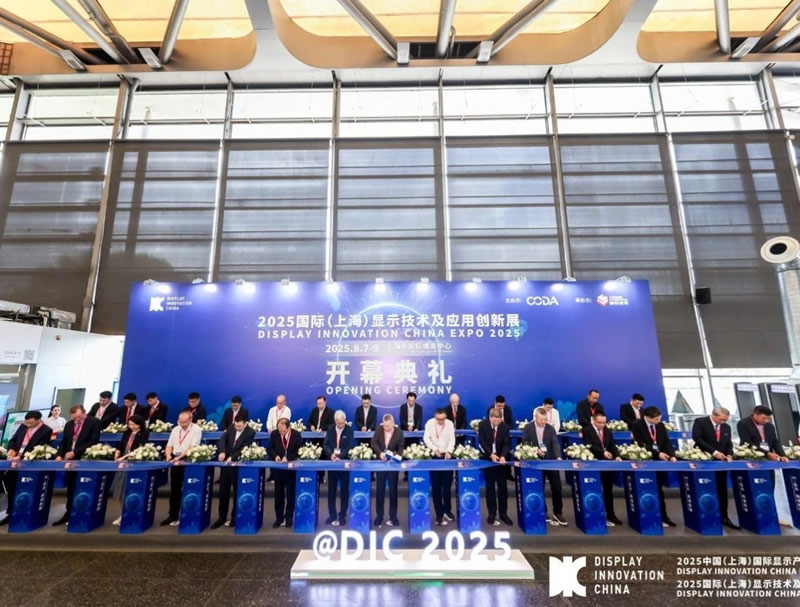 2025国际(上海)显示技术及应用创新展